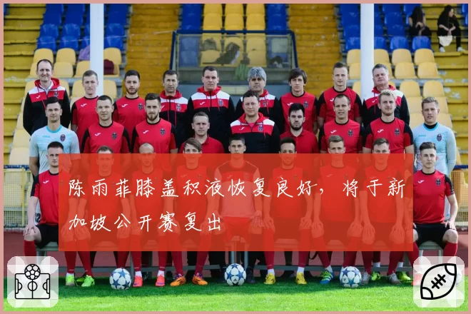 陈雨菲膝盖积液恢复良好，将于新加坡公开赛复出