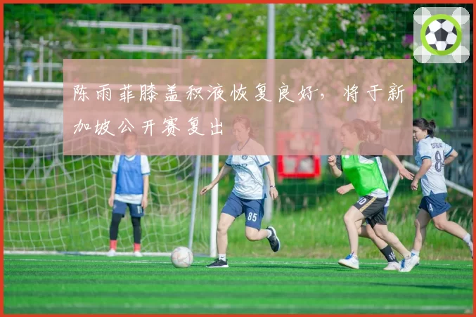 陈雨菲膝盖积液恢复良好，将于新加坡公开赛复出