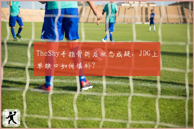 TheShy手指骨折后状态成疑，JDG上单缺口如何填补？