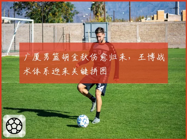 广厦男篮胡金秋伤愈归来，王博战术体系迎来关键拼图